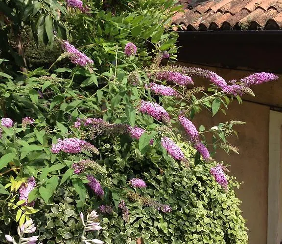 Residenza San Faustino